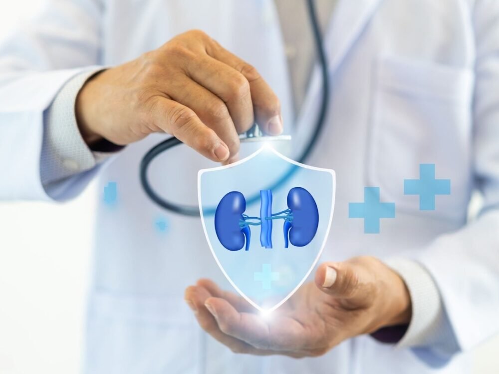 kidney